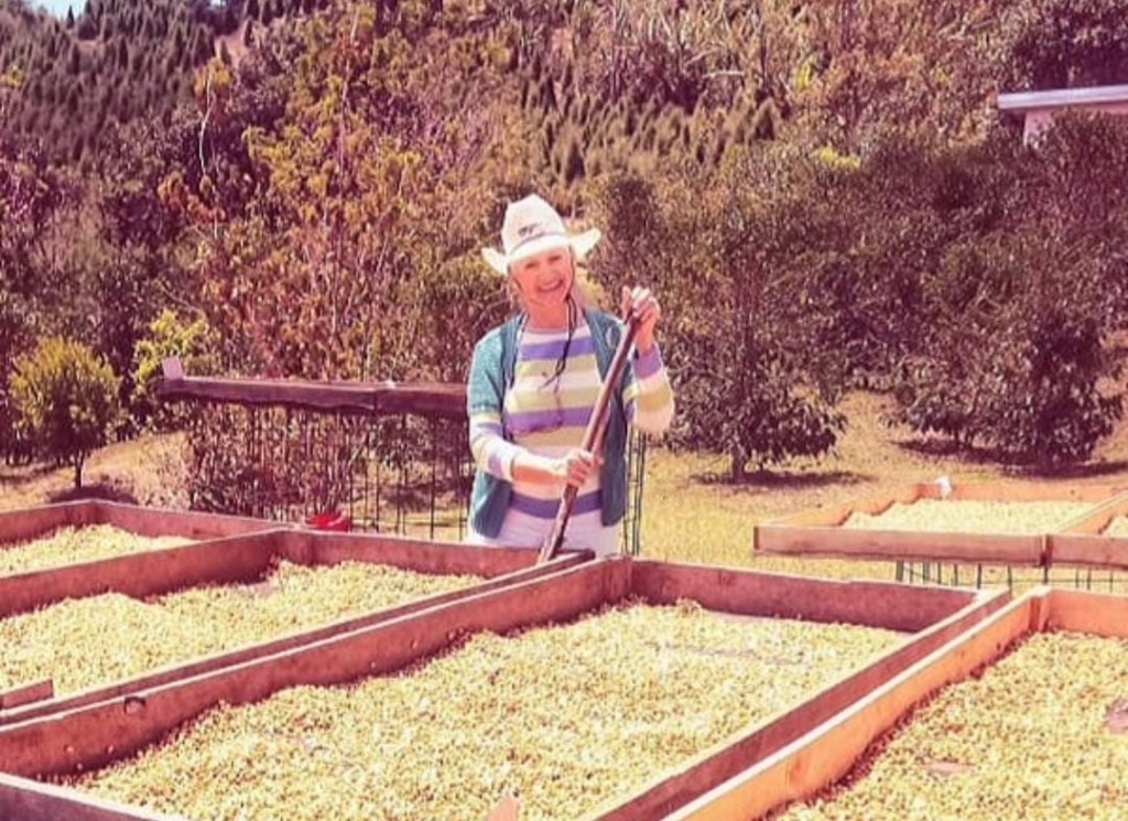 Doña Daisy cuidando el secado artesanal en camas africanas bajo el sol de montaña